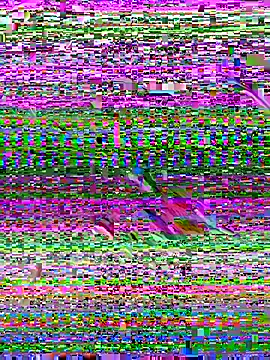 Snapshot of pau1920g chatting on 12.01.25 pau1920g online show from 12.01.25