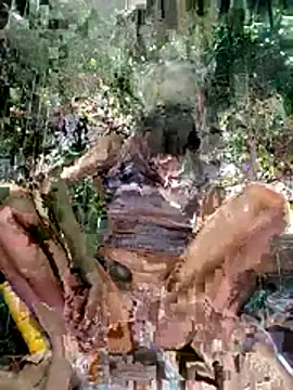 Snapshot of LoveDirty3x chatting on 12.03.25 LoveDirty3x online show from 12.03.25