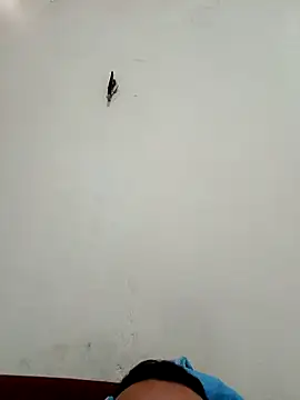 Snapshot of big16cmx chatting on 11.26.25 big16cmx online show from 11.26.25