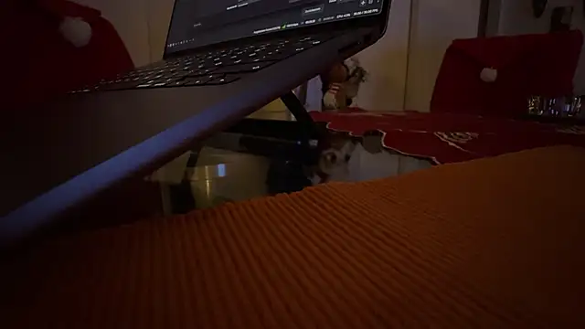 Snapshot of AndyLD20x6 chatting on 12.03.25 AndyLD20x6 online show from 12.03.25