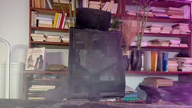 Snapshot of diogene11 chatting on 12.02.25 diogene11 online show from 12.02.25