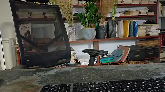 Snapshot of diogene11 chatting on 12.04.25 diogene11 online show from 12.04.25