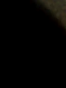 Snapshot of Tg401216 chatting on 11.30.25 Tg401216 online show from 11.30.25