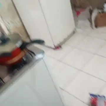 Snapshot of _-_-lu_- chatting on 12.04.25 - -lu - online show from 12.04.25