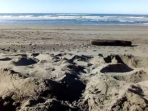 dog-naked online show from 01.22.25