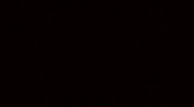 Snapshot of Blackswinger chatting on 03.04.25 Blackswinger online show from 03.04.25