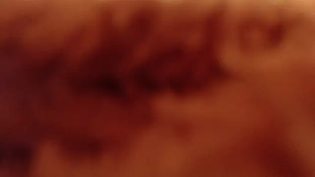 Snapshot of larawet chatting on 01.04.25 larawet online show from 01.04.25