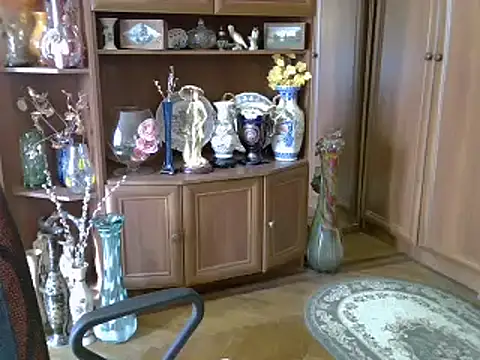 ElenaZed online show from 03.07.25