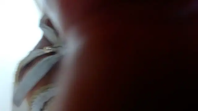 Snapshot of Ixchel_Anaid chatting on 03.14.25 Ixchel Anaid online show from 03.14.25