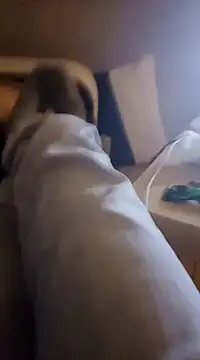 Snapshot of InMeinenMund chatting on 01.13.25 InMeinenMund online show from 01.13.25