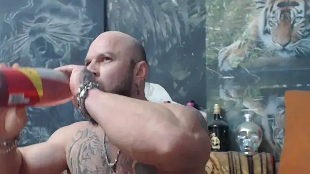 viking 30 online show from 11.05.25