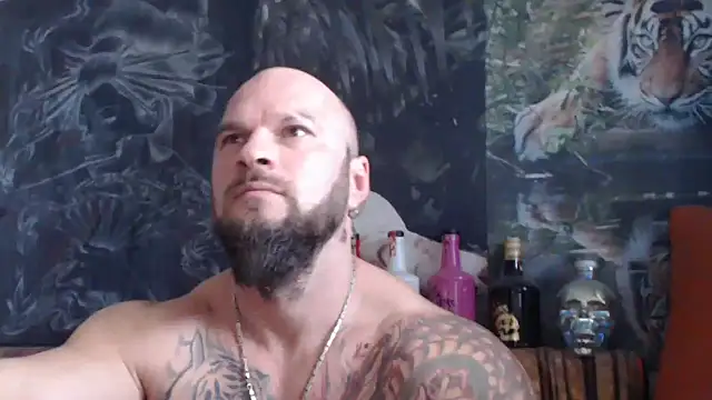 viking 30 online show from 11.07.25