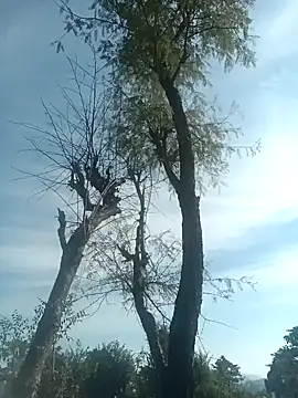 SunnyleoneBG online show from 12.15.24