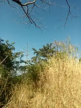 SunnyleoneBG online show from 02.06.25