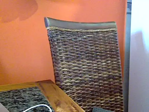 camelia3 online show from 03.18.25