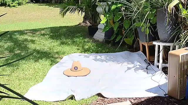 Snapshot of eliberator1777 chatting on 09.21.25 eliberator1777 online show from 09.21.25