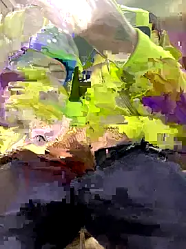 CLoSpunkmeyer69 online show from 10.24.25