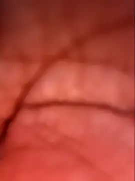 Samia Queen online show from 10.04.25