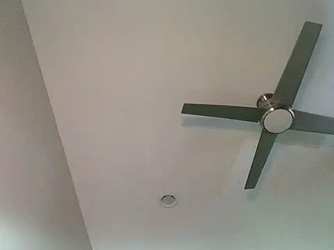 Londonfrotadejr online show from 03.07.25