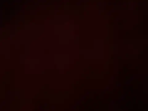 Snapshot of Tomthelong chatting on 02.27.25 Tomthelong online show from 02.27.25