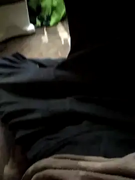 Moinkabi online show from 11.10.25