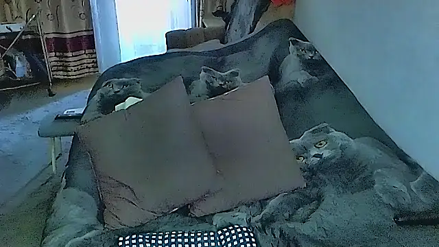 sex2 online show from 09.25.25