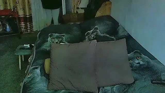 sex2 online show from 11.12.25