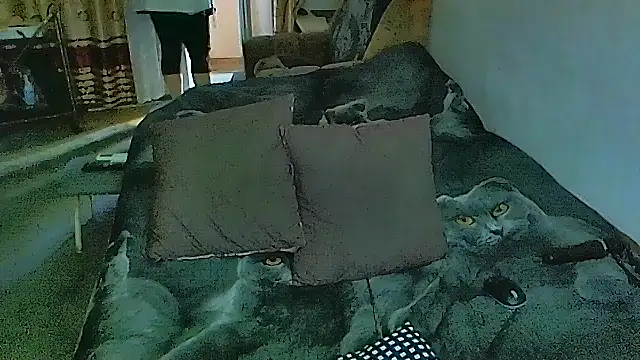 sex2 online show from 11.17.25