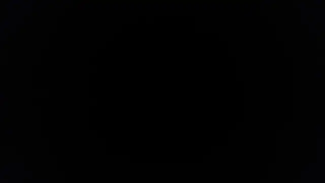 palidin1 online show from 11.25.25