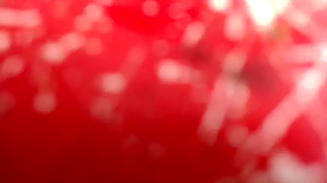 Snapshot of NAILAH_SANZ chatting on 02.04.25 NAILAH SANZ online show from 02.04.25