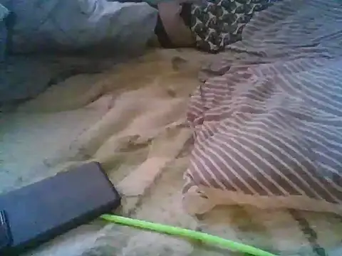 xsexy on91 online show from 12.05.25