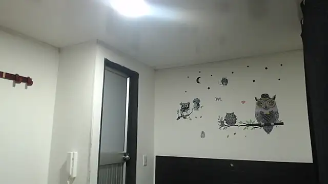 stifen  online show from 01.31.25