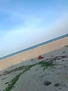 patrick deck online show from 10.06.25