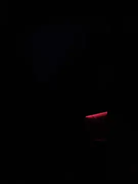 dingoding online show from 01.14.25