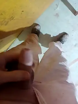 Snapshot of GeilerSchweizer chatting on 01.29.25 GeilerSchweizer online show from 01.29.25