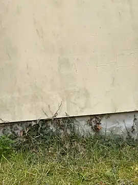 TalullaX online show from 03.19.25