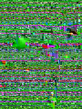 Snapshot of eva_six chatting on 12.20.24 eva six online show from 12.20.24