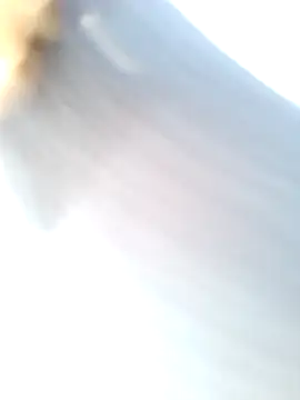 Snapshot of mustican422 chatting on 02.25.25 mustican422 online show from 02.25.25