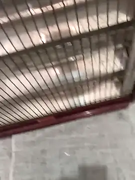 Snapshot of mustican422 chatting on 10.25.25 mustican422 online show from 10.25.25