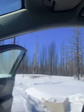 GoldenFlameGoddess online show from 03.06.25