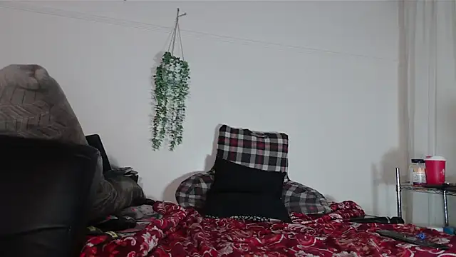 Snapshot of VANESSADDD chatting on 02.14.25 VANESSADDD online show from 02.14.25