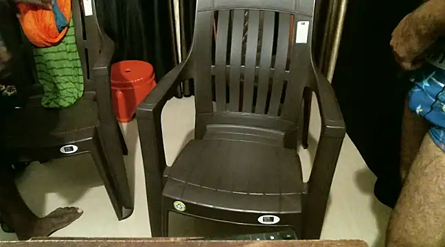 Snapshot of indian2 chatting on 12.21.24 indian2 online show from 12.21.24