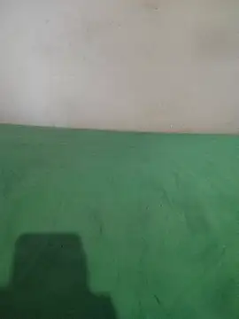 Snapshot of _Scorpion_ chatting on 02.11.25 Scorpion online show from 02.11.25