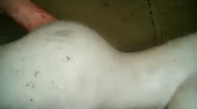 Snapshot of xxxlecram chatting on 03.05.25 xxxlecram online show from 03.05.25