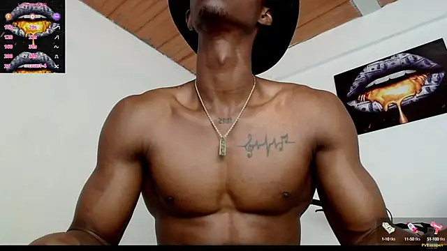 drake brwon 23 online show from 02.19.25