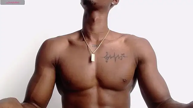 drake brwon 23 online show from 10.19.25