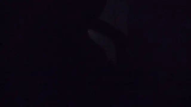 Snapshot of SouTarado69 chatting on 03.21.25 SouTarado69 online show from 03.21.25