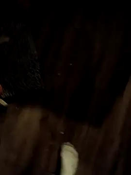 Snapshot of Donglong80 chatting on 11.17.25 Donglong80 online show from 11.17.25